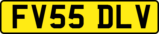 FV55DLV