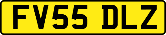 FV55DLZ