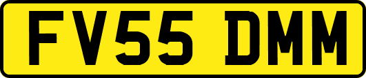 FV55DMM