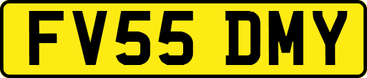 FV55DMY