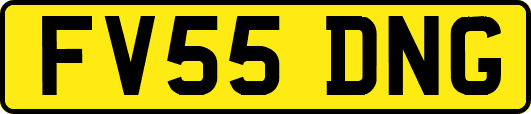 FV55DNG
