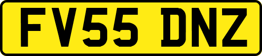 FV55DNZ