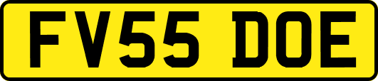 FV55DOE