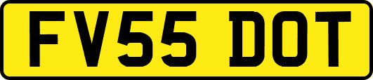 FV55DOT