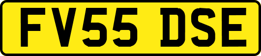 FV55DSE