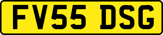 FV55DSG