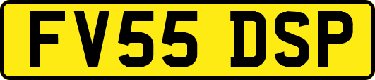 FV55DSP