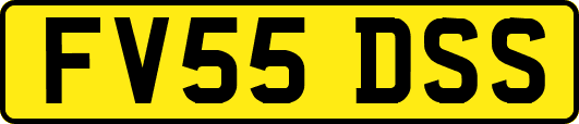 FV55DSS