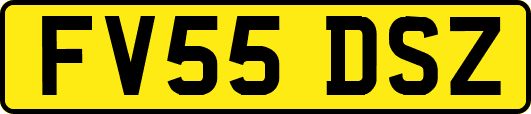 FV55DSZ