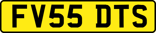 FV55DTS