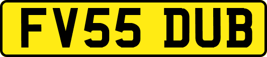 FV55DUB