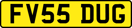 FV55DUG