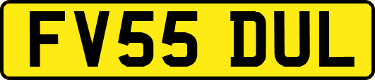 FV55DUL