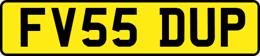 FV55DUP