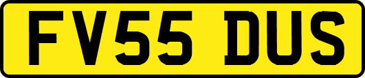 FV55DUS