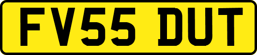 FV55DUT