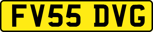 FV55DVG