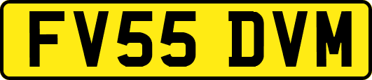 FV55DVM