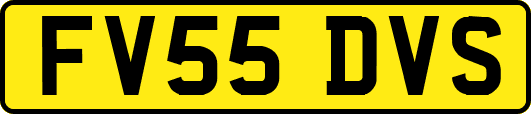 FV55DVS