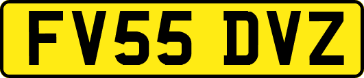 FV55DVZ