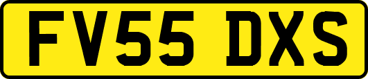 FV55DXS