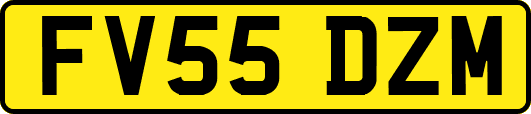 FV55DZM