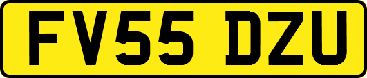 FV55DZU