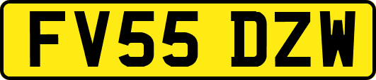 FV55DZW