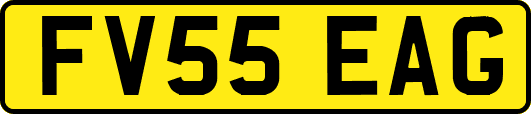 FV55EAG