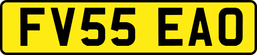 FV55EAO