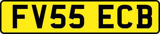FV55ECB