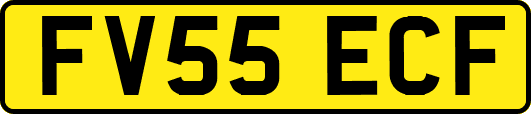FV55ECF