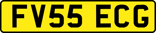 FV55ECG