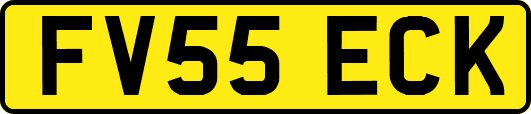 FV55ECK