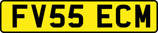 FV55ECM