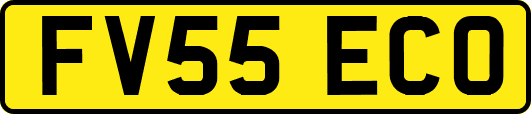 FV55ECO