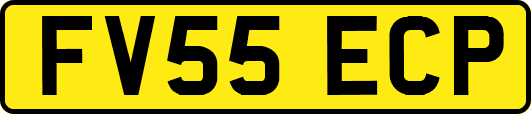 FV55ECP
