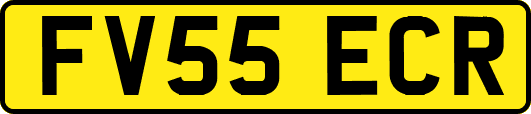 FV55ECR
