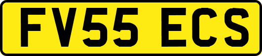 FV55ECS