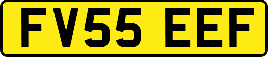 FV55EEF