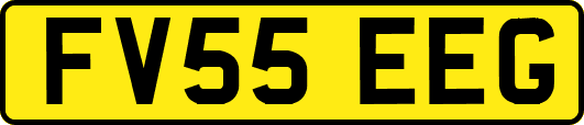 FV55EEG