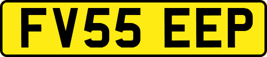 FV55EEP