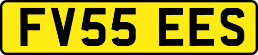 FV55EES