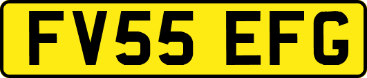 FV55EFG