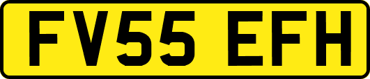 FV55EFH