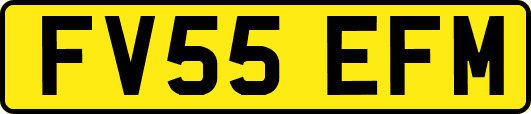 FV55EFM