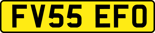FV55EFO