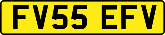 FV55EFV
