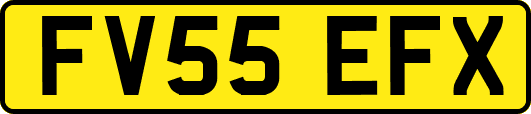 FV55EFX