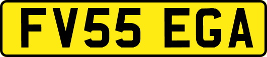 FV55EGA